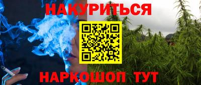молекула духа Будённовск