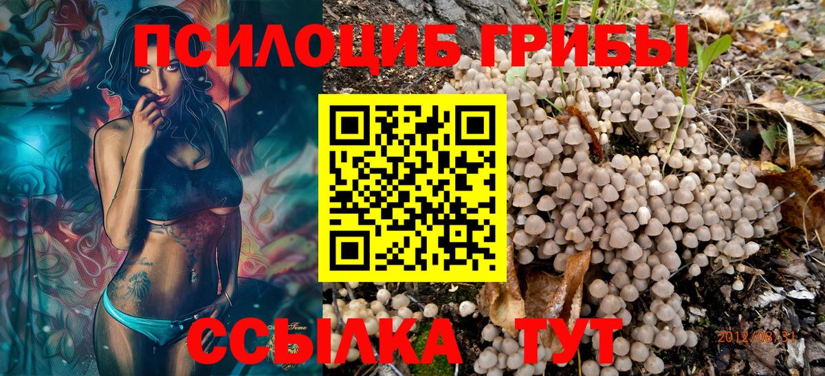 Галлюциногенные грибы Psilocybe  Вход с VPN  Азов 